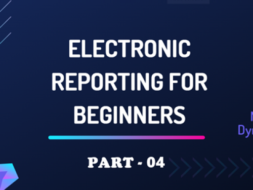 Customizations in Electronic Report for Beginners